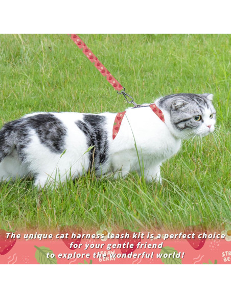Conjunto Arnés y Correa Seyezo para Gatos Pequeños Rosa