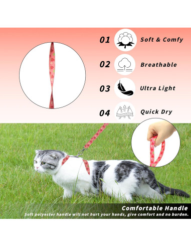Conjunto Arnés y Correa Seyezo para Gatos Pequeños Rosa