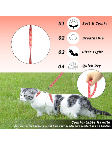 Conjunto Arnés y Correa Seyezo para Gatos Pequeños Rosa