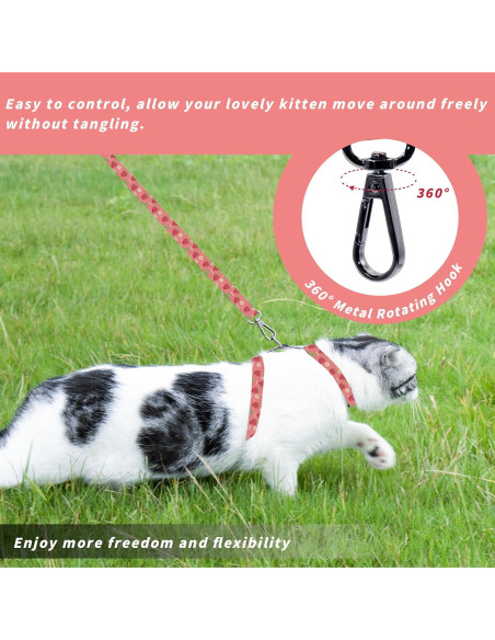 Conjunto Arnés y Correa Seyezo para Gatos Pequeños Rosa