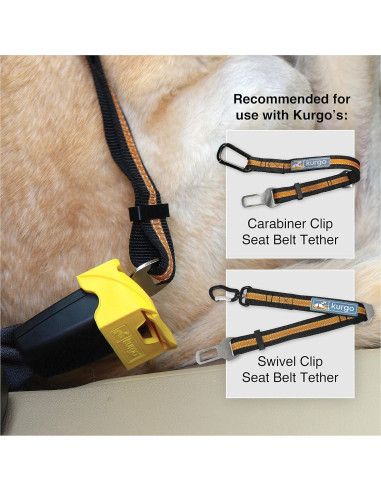 Correa de Seguridad para Perros Kurgo - Tether Ajustable para Cinturón