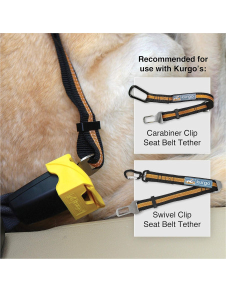 Correa de Seguridad para Perros Kurgo - Tether Ajustable para Cinturón