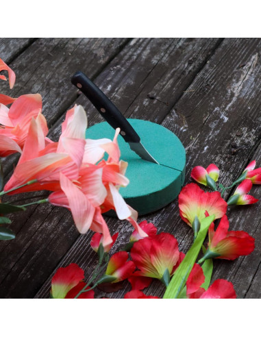 Paquete de 6 Bloques de Espuma Floral Redonda Flofare 7.6 cm