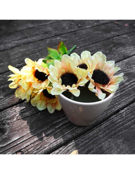 Paquete de 6 Bloques de Espuma Floral Redonda Flofare 7.6 cm