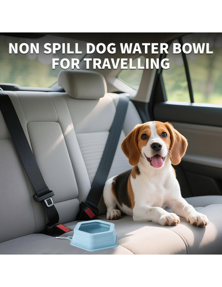 Cuenco de Viaje para Perros SLSON 700ml Plegable Sin Derrames