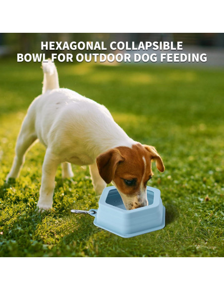 Cuenco de Viaje para Perros SLSON 700ml Plegable Sin Derrames