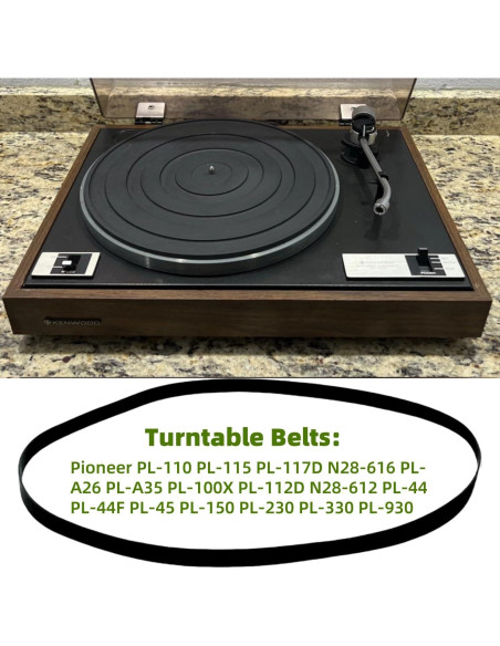 Correa de Reemplazo para Tocadiscos Sam&Johnny - Compatible con Pioneer