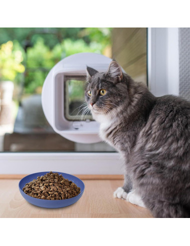 8 Platos para Gatos de Paja de Trigo - Antifatiga Bigotes