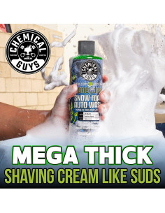 Paquete Lavado y Brillo Chemical Guys 16 oz Jabón + After Wash 2