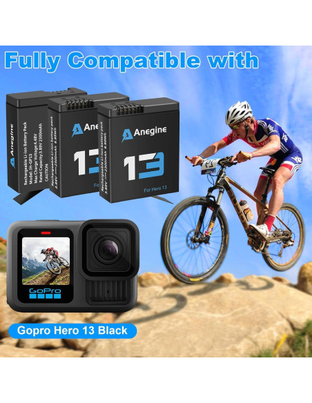 Baterías Anegine Hero 13 2300mAh + Cargador LCD 3 Canales