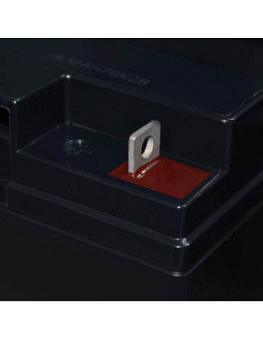 Batería Mighty Max 12V 22AH SLA para Merits Pioneer 1