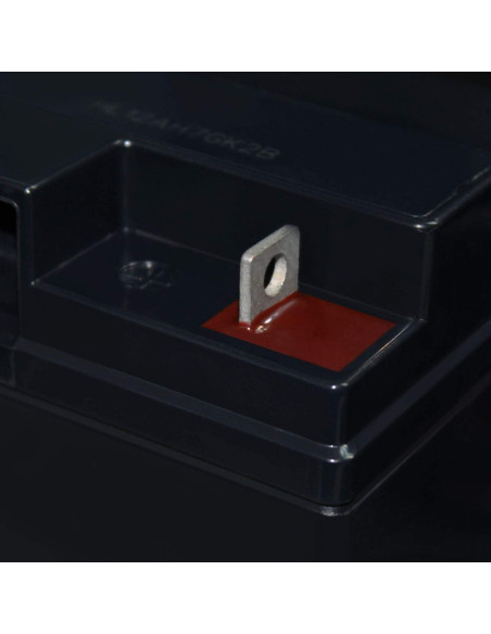 Batería Mighty Max 12V 22AH SLA para Merits Pioneer 1