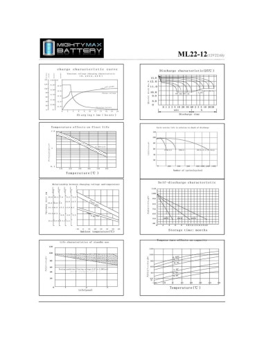 Batería Mighty Max 12V 22AH SLA para Merits Pioneer 1