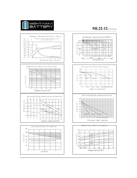 Batería Mighty Max 12V 22AH SLA para Merits Pioneer 1