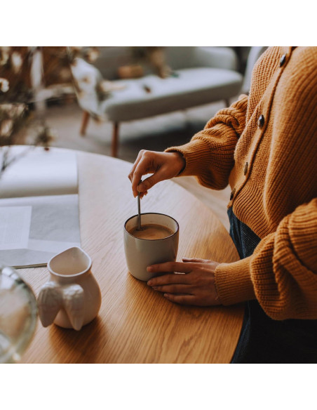 Polvo de Nuez Kola Orgánico Jaunty 100g - Energía Natural