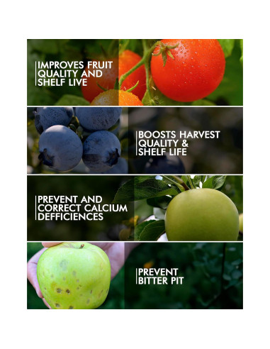 Fertilizante Líquido de Calcio Nutri-Cal 9.46L para Tomates