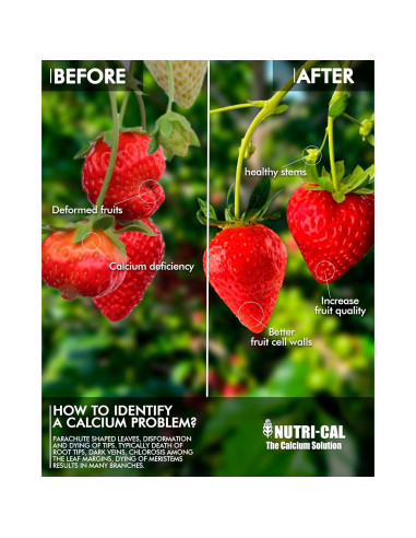 Fertilizante Líquido de Calcio Nutri-Cal 9.46L para Tomates