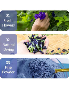 Polvo de Flor de Guisante Mariposa Orgánico 20g - Colorante Natural 2