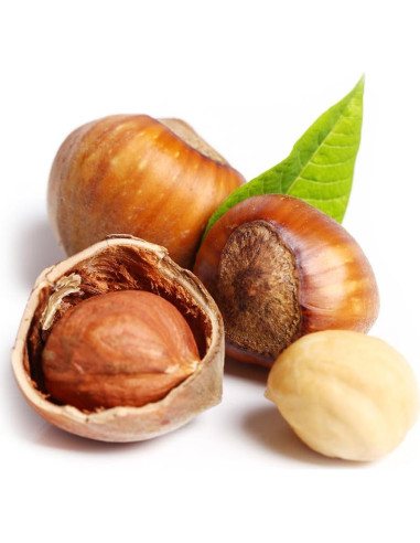 Extracto de Avellana OliveNation 453.6g - Sabor a Nueces