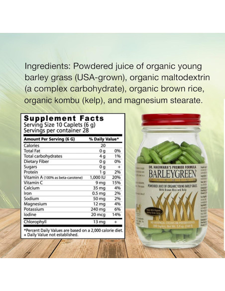 Tabletas Premium de Cebada Verde Dr. Hagiwara 280 Unidades