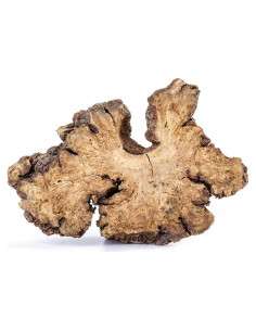 Rhizoma Chuanxiong 500g - Raíz de Ligusticum Chuanxiong