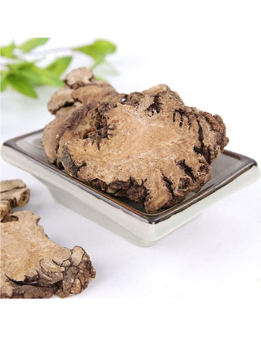 Rhizoma Chuanxiong 500g - Raíz de Ligusticum Chuanxiong