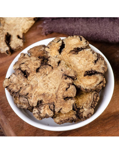 Rhizoma Chuanxiong 500g - Raíz de Ligusticum Chuanxiong