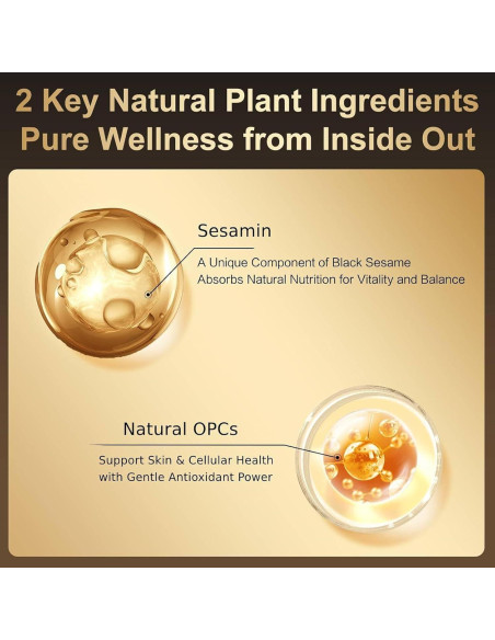 Polvo de Sésamo Negro con Nueces 453g - Bebida Instantánea Vegana