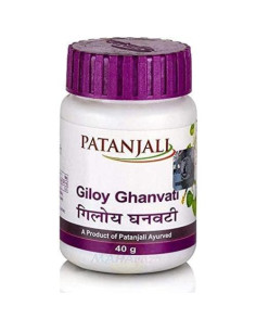 Giloy Ghan Vati 40g - Suplemento Herbal Ayurvédico 24 Botellas 2