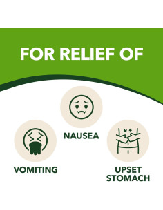 Tabletas de Jengibre Gravol 20ct - Alivio Náuseas y Vómitos 2