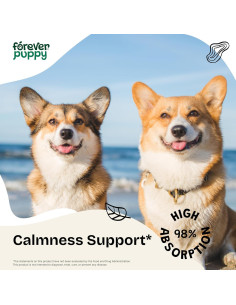 Gotas Calmantes Forever Puppy 59 ml - Ashwagandha y Pasión 2