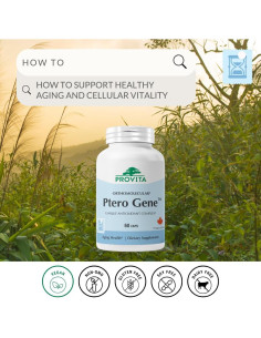 Suplemento Antioxidante Vegano Provita Ptero Gene 60 Cápsulas 2