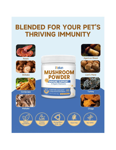 Polvo de Hongo Orgánico para Perros IRALUN - 100 g