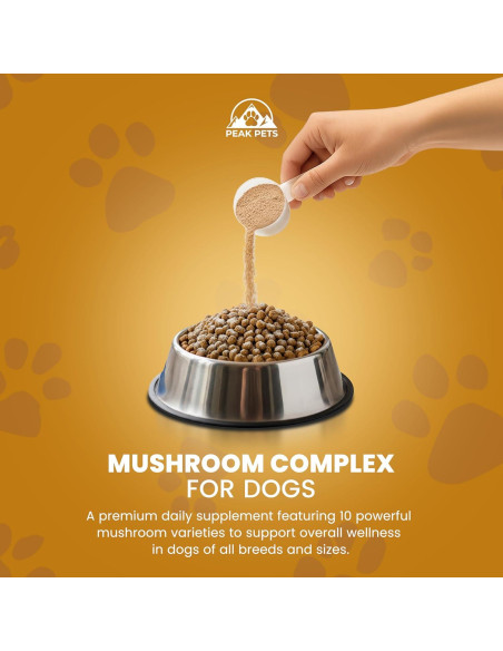 Suplemento en Polvo de Champiñones Peak Pets 90g - Inmunidad y Salud