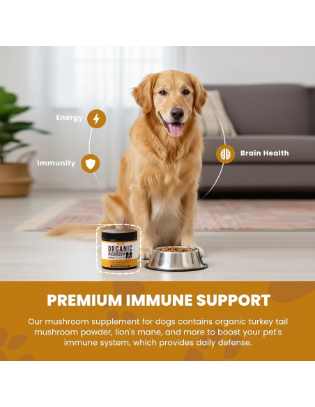 Suplemento en Polvo de Champiñones Peak Pets 90g - Inmunidad y Salud