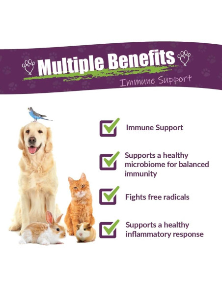 Suplemento Herbal Amber NaturalZ Vibactra 113.4g para Mascotas