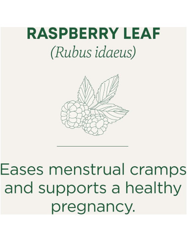 Té de hoja de frambuesa orgánico Traditional Medicinals - 16 bolsas