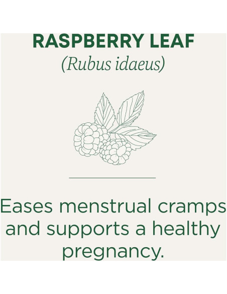 Té de hoja de frambuesa orgánico Traditional Medicinals - 16 bolsas