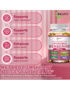 Suplemento de Berberina JINGYAT 1500mg con Canela y Cúrcuma 2