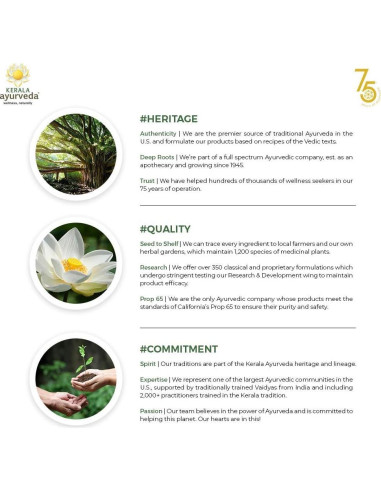 Cápsulas Herbales Promactil Kerala Ayurveda - 60 Unidades