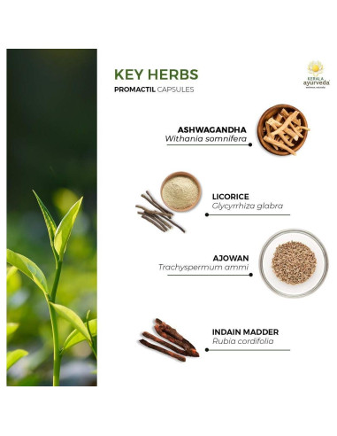 Cápsulas Herbales Promactil Kerala Ayurveda - 60 Unidades