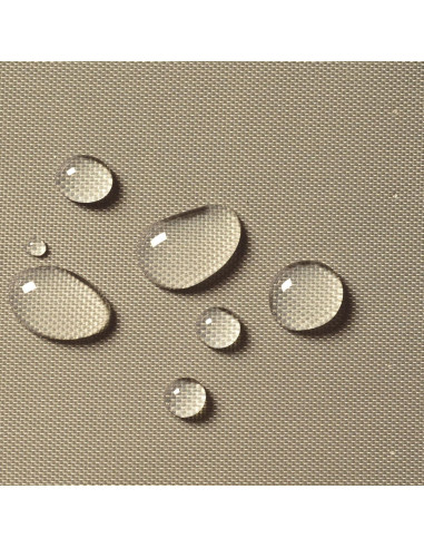 Cubierta para Carro de Golf Classic Accessories Beige 2-Persona