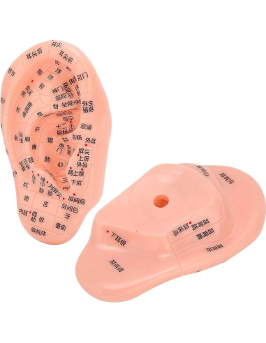 Modelo de Reflexología Auricular PVC - Herramienta de Acupuntura