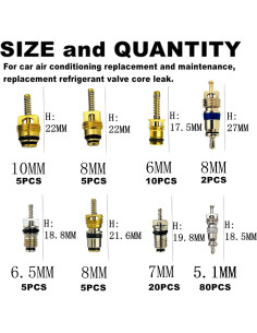 Kit de Válvula de Aire Acondicionado VOTNMIC 134PCS R12 R134a 2