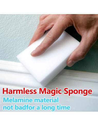 Esponjas de Limpieza Antiway 12 Unidades Densidad 2X 10x6 cm