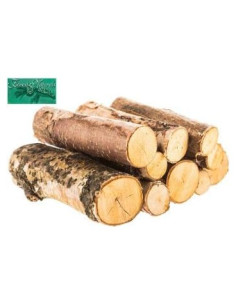 Mini Troncos de Abedul para Arreglos Florales - 10 Piezas