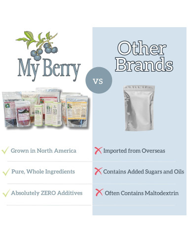 Arándanos Silvestres Secos My Berry 113g | Sin Azúcar Añadido
