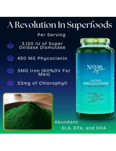 Polvo de Espirulina Orgánica NaturalZing 454g - Proteína Vegana 2