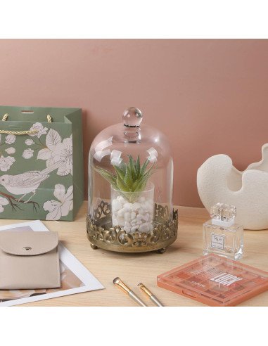 Dome de vidrio grande y resistente Genérico 30.48 cm dorado - Juego de 2