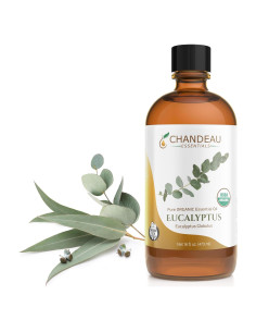 Aceite Esencial Orgánico Puro Eucalipto Chandeau 473 ml